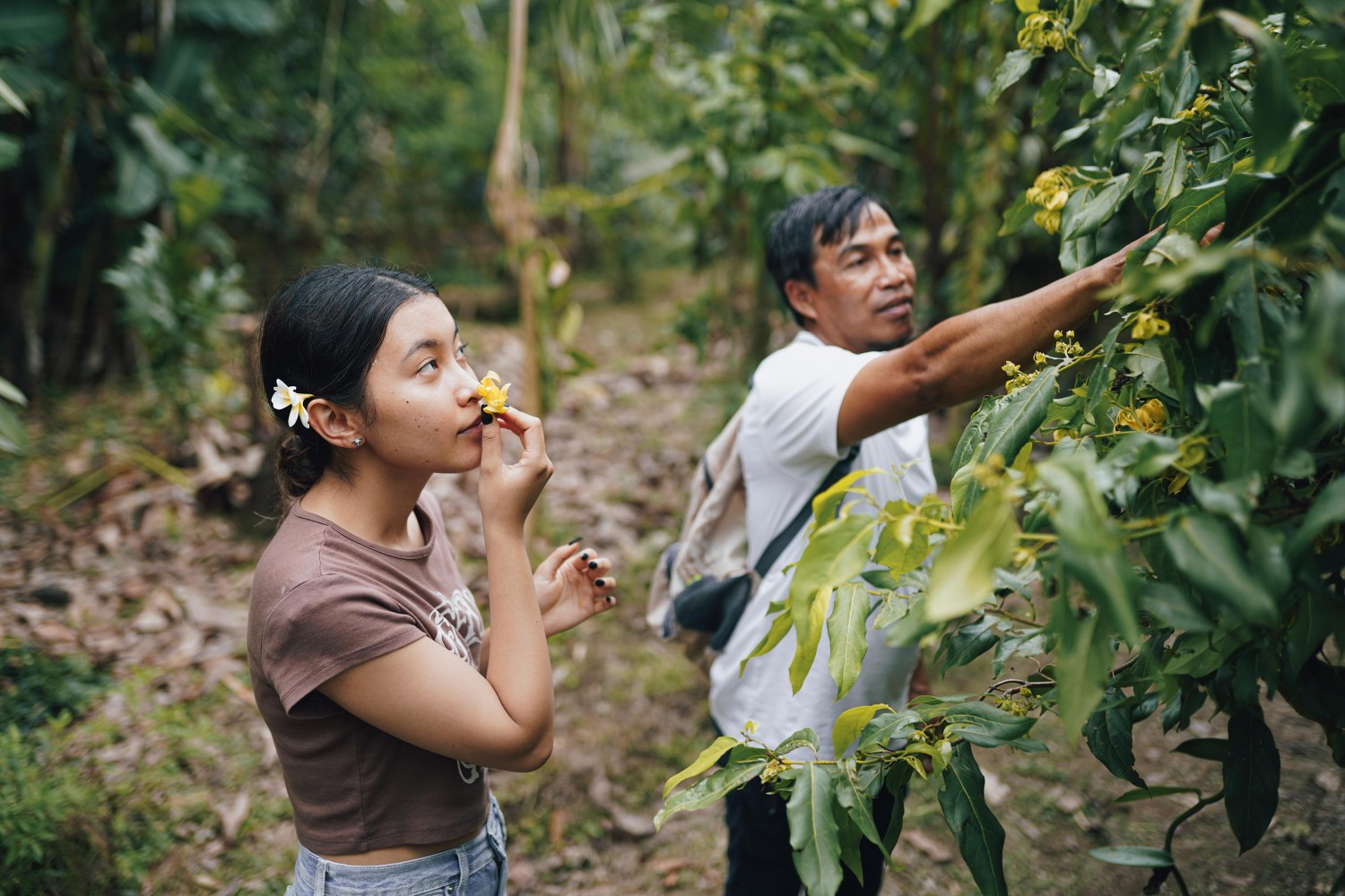Bali Herbal Walks