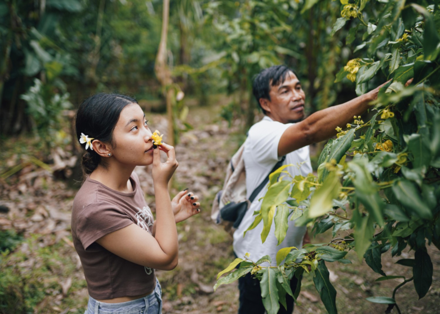 Bali Herbal Walk